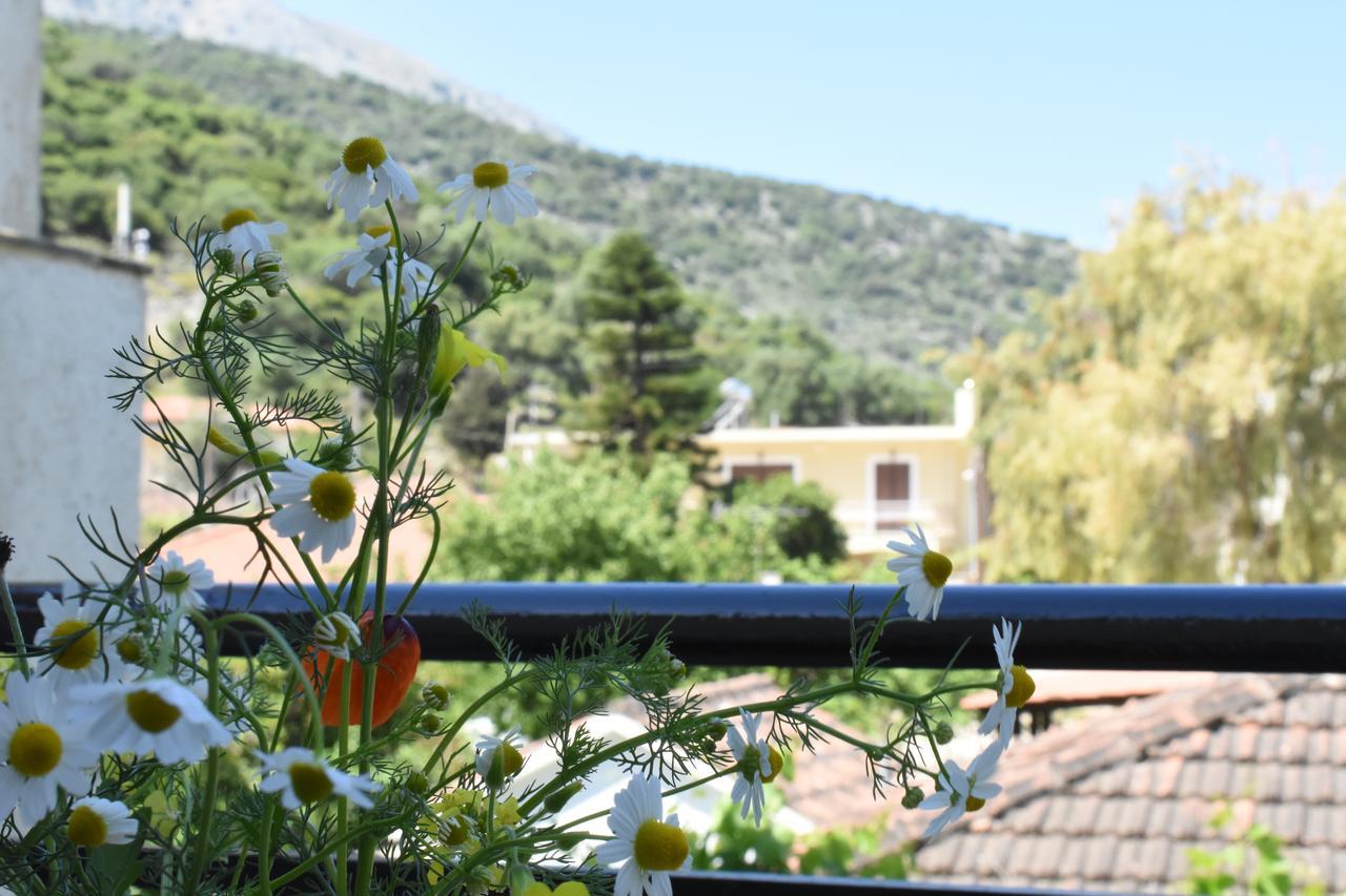 Starvillas Apartments And Studios Agia Efimia Esterno foto